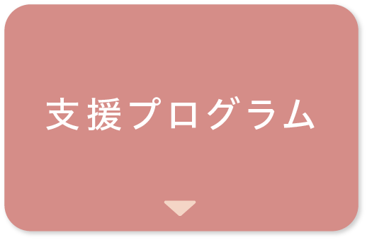 支援プログラム